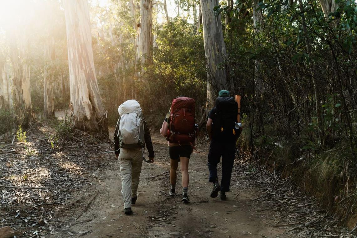 5 Hikes to Tackle Around Wangaratta Visit Wangaratta