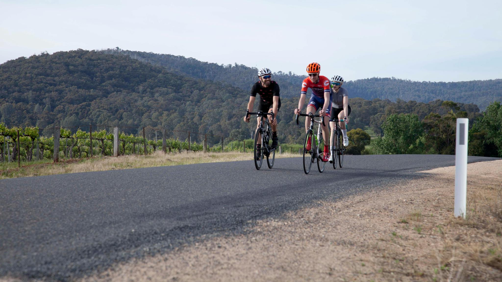 Cheshunt Cruise Visit Wangaratta